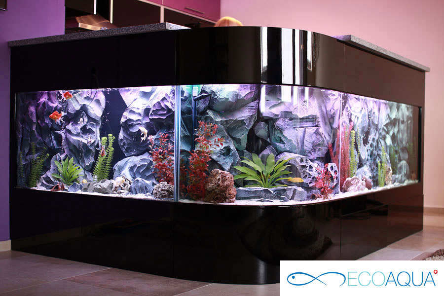 Aquarium in apartment